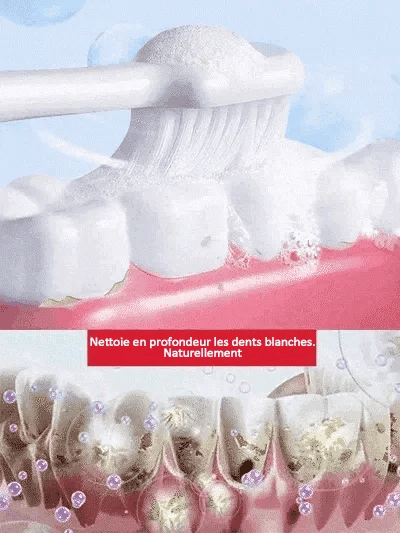 DENTIFRICE SP6